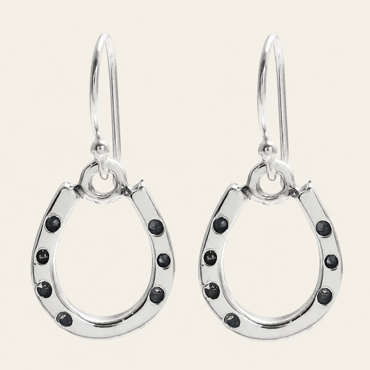 Double-Sided Horseshoe Silver Earrings